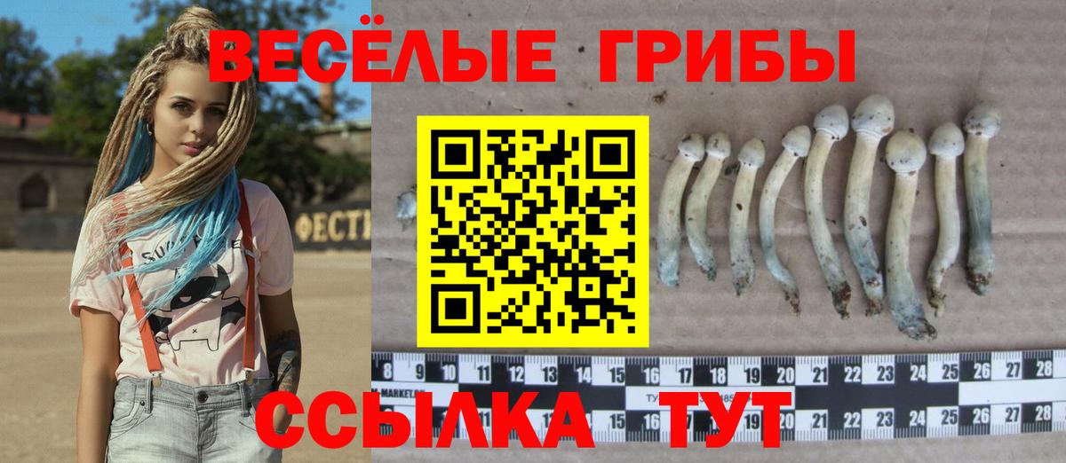 Галлюциногенные грибы прущие грибы  Вход с VPN  Отрадный  Псилоцибиновые грибы Magic Shrooms 