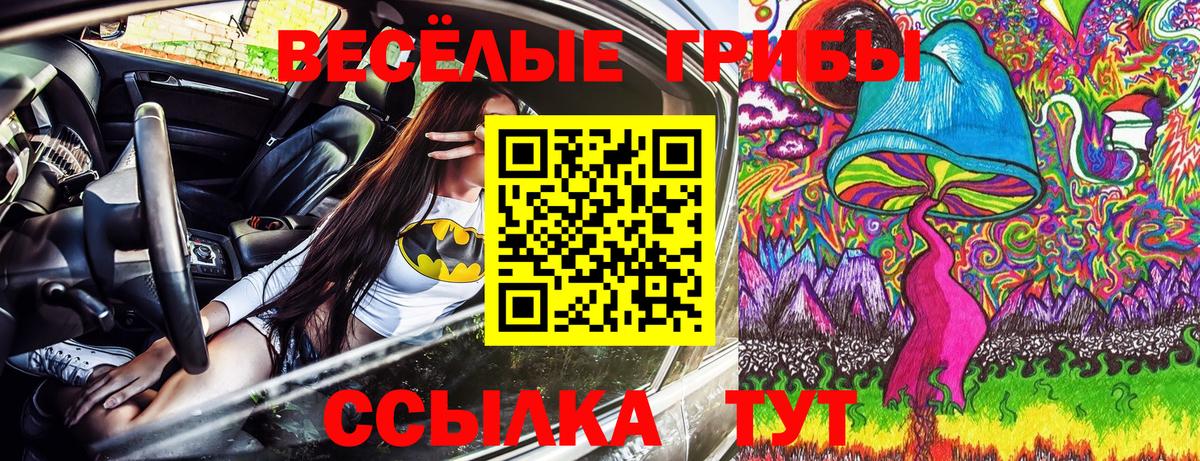 Галлюциногенные грибы мухоморы Отрадный